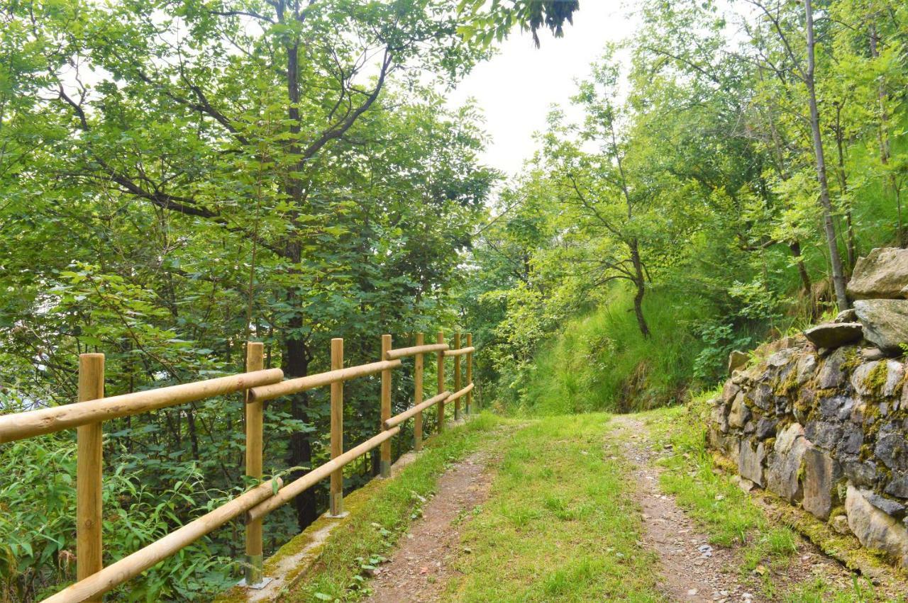 Gold Cave Casa Vacanze Relax Nel Bosco Appartamenti Pessinetto Exteriör bild